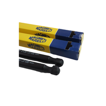 Kit Ammortizzatori Posteriori Magneti Marelli – Fiat Tipo