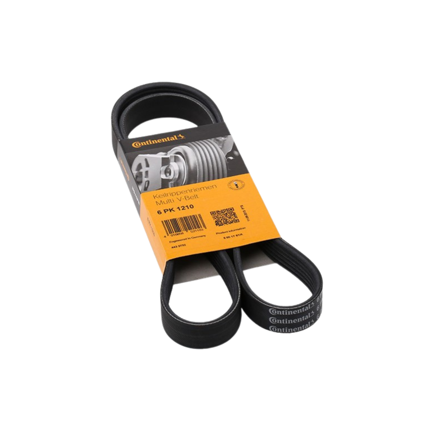 Cinghia Servizi Scanalata Alternatore Fiat / Alfa Romeo / Lancia