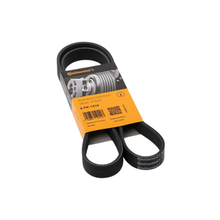 Cinghia Servizi Poli-V / Cinghia Scanalata Alternatore – Fiat / Alfa Romeo / Lancia