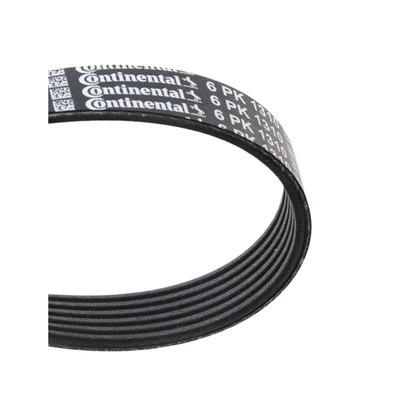 Cinghia Servizi Scanalata Alternatore Fiat / Alfa Romeo / Lancia