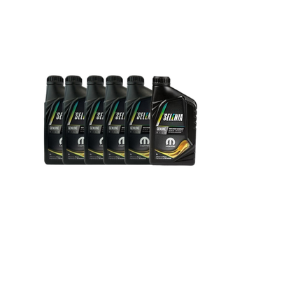 Kit Tagliando 4 Filtri + 6L Olio Selenia 5W-30 WR Per Citroen Jumper