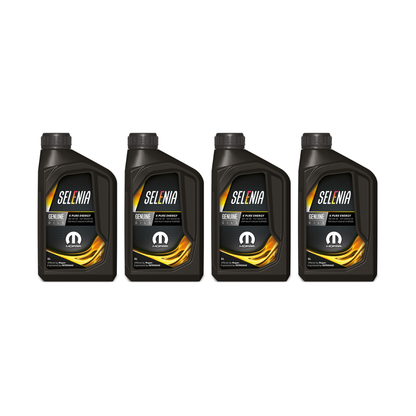 Kit Tagliando 4 Litri Olio Selenia 5W-40 + 3 Filtri - Fiat Panda 169 Motore 1.1