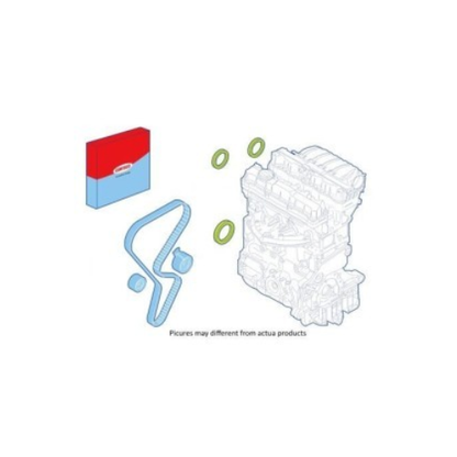 Kit 3 Paraoli (Lato Cambio, Lato Motore, Albero a Camme) Per Fiat Panda 169 1.2