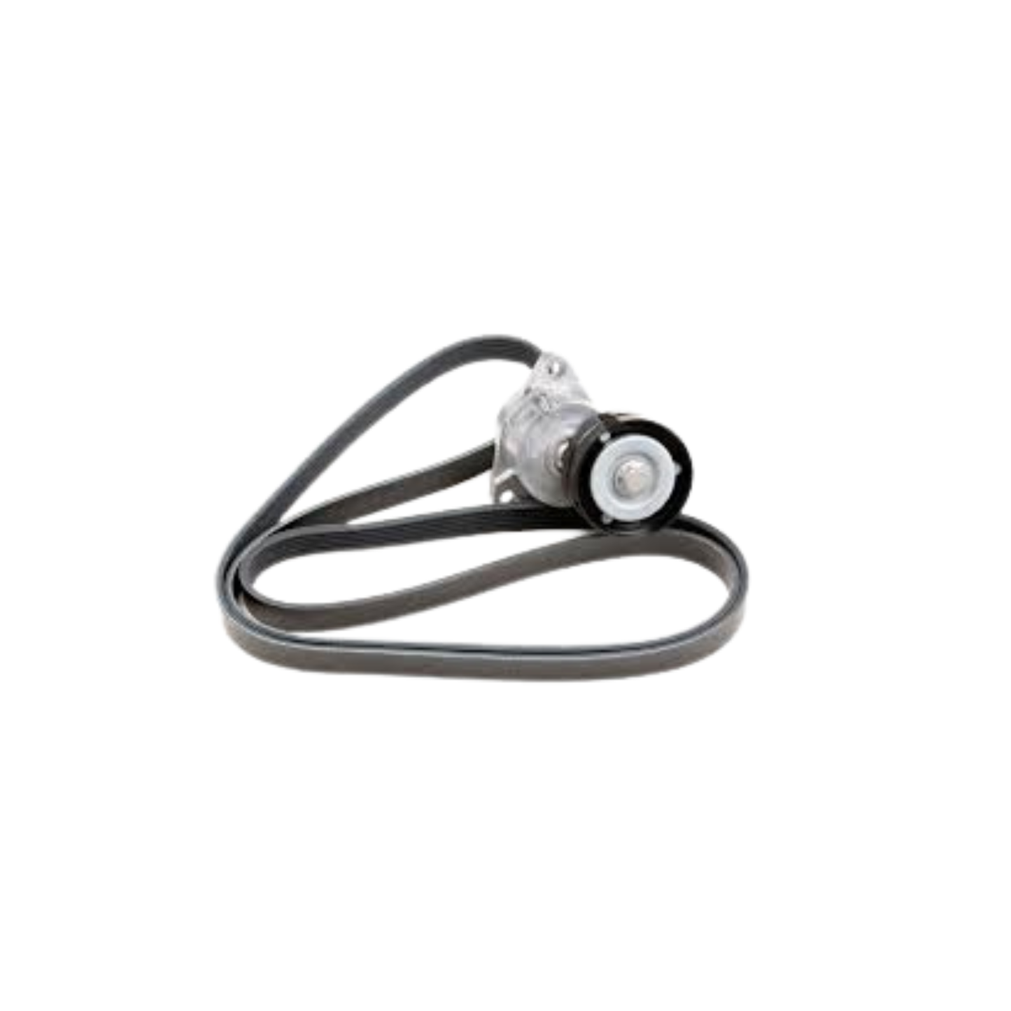 Filtro Olio + 5 Litri Olio Selenia 5W40 20K + Cinghia Servizi con Tenditori – Fiat Multipla