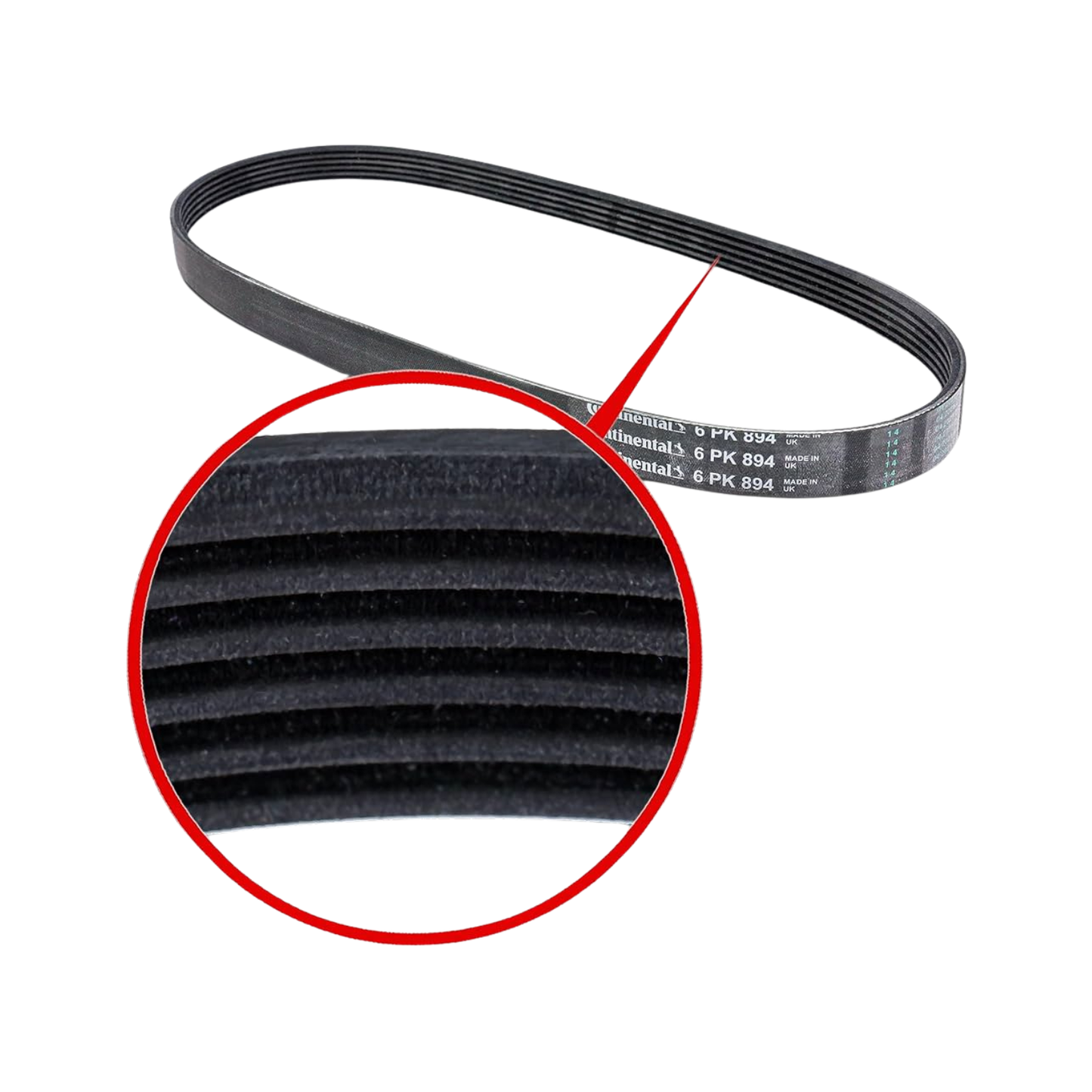 Cinghia Servizi Scanalata Alternatore Fiat / Alfa Romeo / Lancia