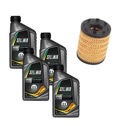 4 Litri Olio Motore Selenia 5W 40 + Filtro Olio Purflux L330 | Fiat Idea 1.3