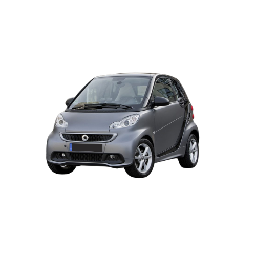 Coppia Ammortizzatori Posteriori Smart Fortwo 450 - X440343