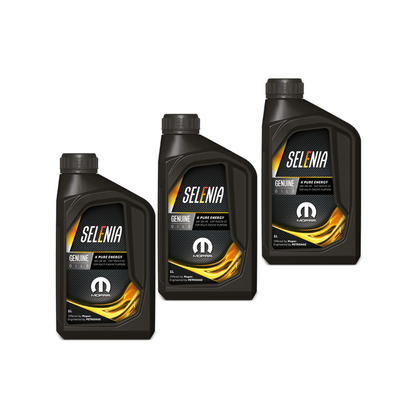 Kit Tagliando Fiat Grande Punto 1.2 - 3L Olio Selenia 5W-40 + 4 Candele Bosch + 3 Filtri