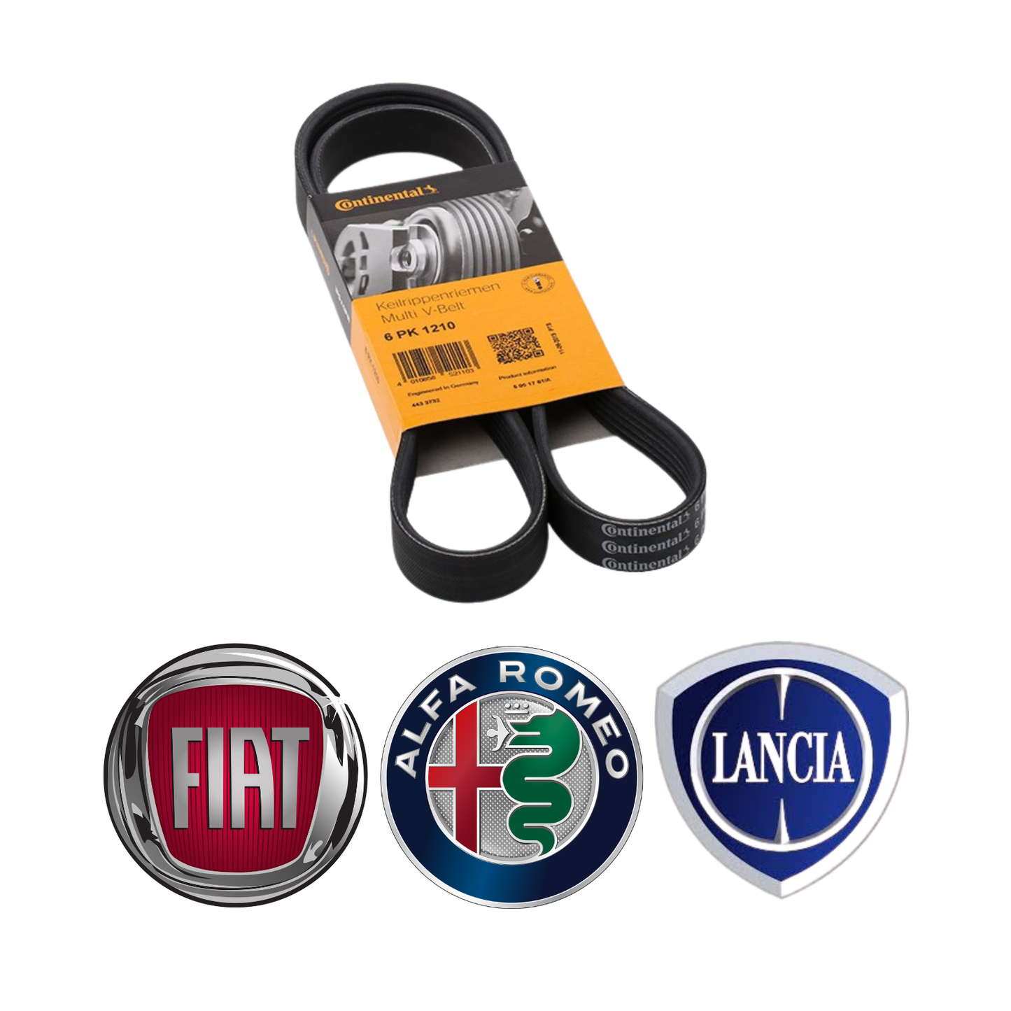 Cinghia Servizi Scanalata Alternatore Fiat / Alfa Romeo / Lancia