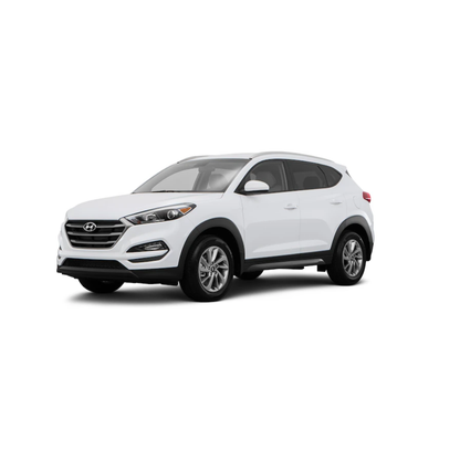 Kit Distribuzione (Cinghia + Tendicinghia + Pompa Acqua + Cinghia Servizi) – Hyundai Tucson