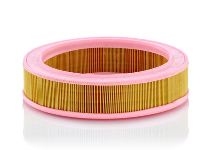 Filtro Aria Mann-Filter C 2766 – Renault / Volvo / Honda