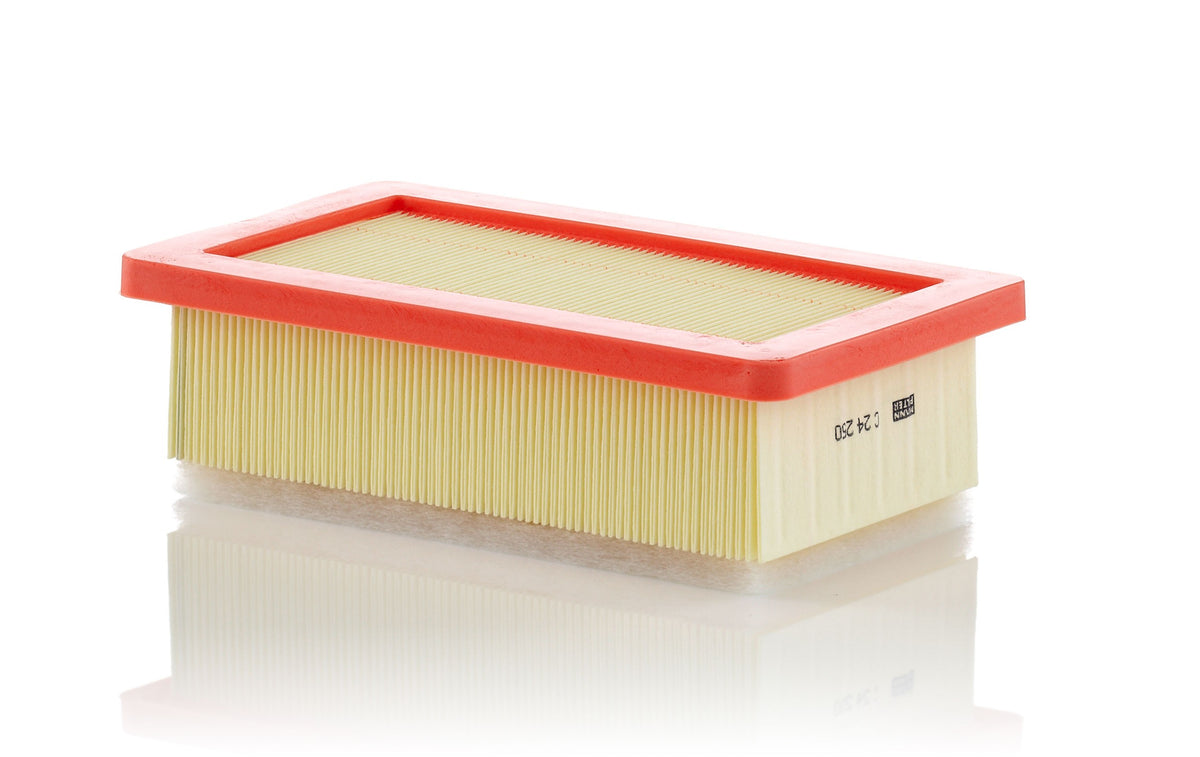 Filtro Aria Mann-Filter C 24 250 – Renault - foto 2